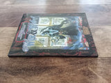 Sword & Sorcery Wise & Wicked Scarred Lands WW8312 d20 2001