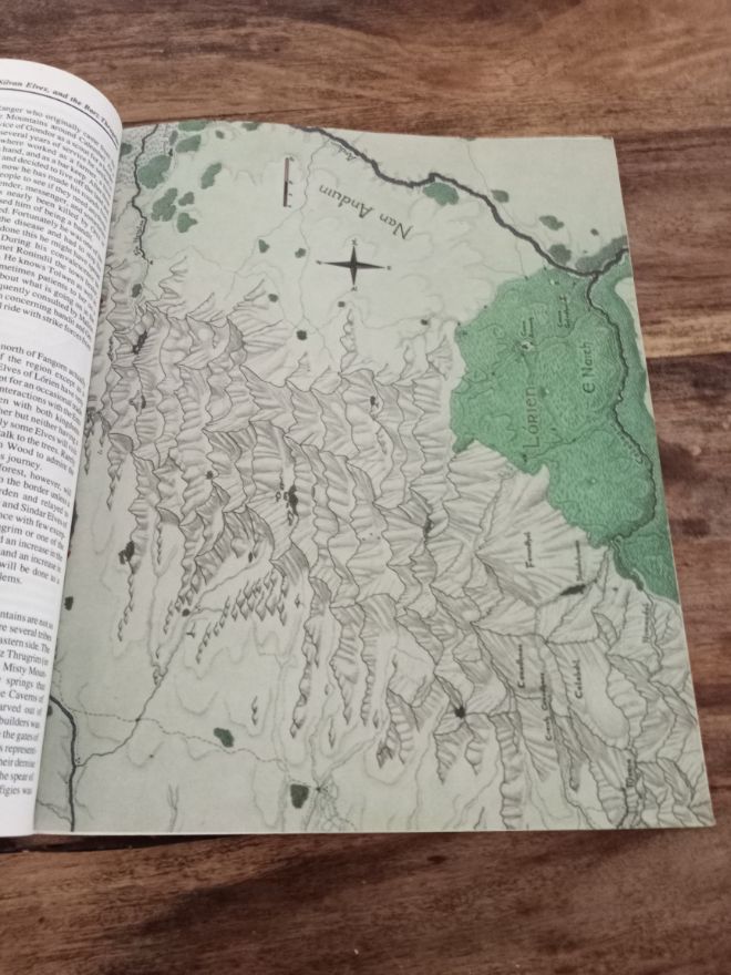 MERP Ents of Fangorn With Map I.C.E. 3500 Middle-Earth Role Playing 1987