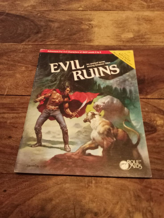 AD&D Evil Ruins An Ancient Role Aids 713 1983