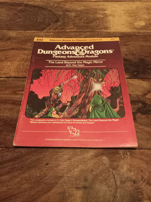 Dungeons and Dragons The Land Beyond the Magic Mirror EX2 TSR 9073 AD&D 1983