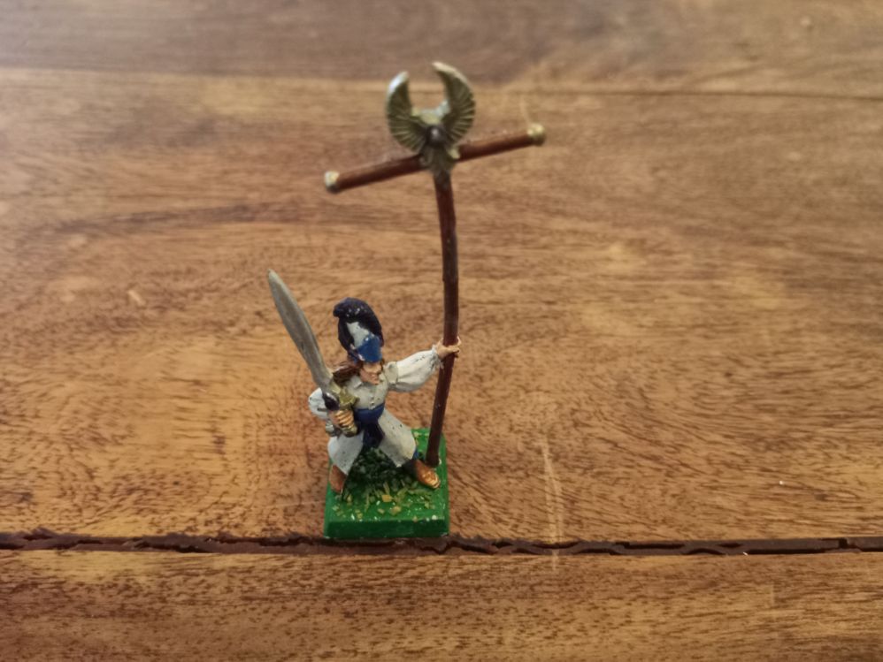 Warhammer Fantasy High Elves Standard Bearer Metal Games Workshop